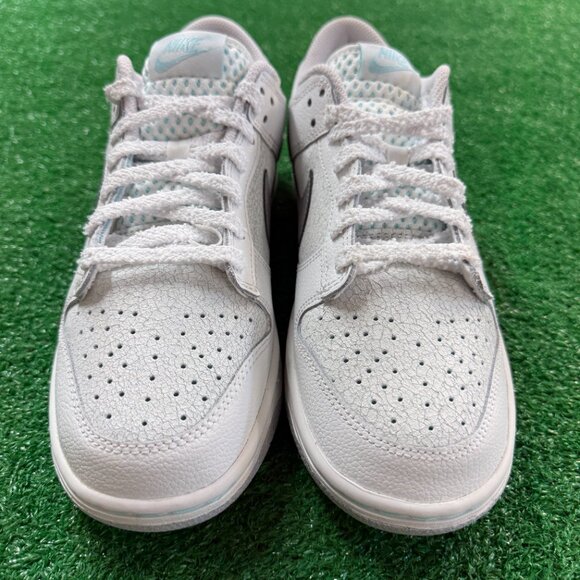 Nike Dunk Low SE Winter Storm Casual Shoes HQ3619-121 VNDS Mens Sz 7.5 / WMNS 9